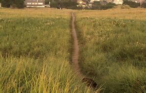 Beautiful Family Compound with Sea View on the Oregon Coast - Gearhart, Oregon