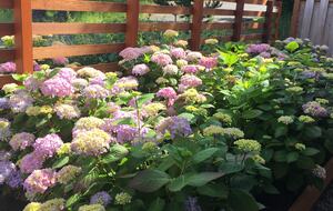Beautiful Family Compound with Sea View on the Oregon Coast - Gearhart, Oregon