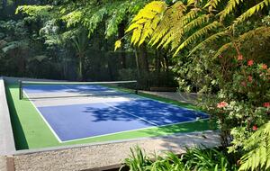 Forest Creek - Valle de Bravo, Mexico