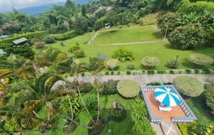 Finca el Naranjo | Colombian Farm Estate | With pool, soccer field, running track, and staff - La Tebaida, Colombia