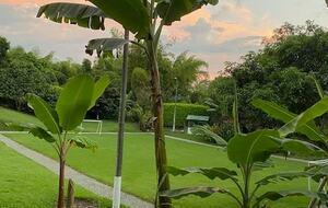 Finca el Naranjo | Colombian Farm Estate | With pool, soccer field, running track, and staff - La Tebaida, Colombia