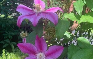 Luxurious and Modern Retreat in the Catskills - Kerhonkson, New York