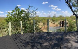 Lubbesrust Boutique Lodge - Tuli Block, Botswana