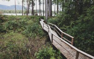 Rainforest Waterfront Gem on Jensen's Bay - Tofino, Canada