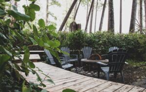 Rainforest Waterfront Gem on Jensen's Bay - Tofino, Canada