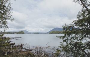 Rainforest Waterfront Gem on Jensen's Bay - Tofino, Canada