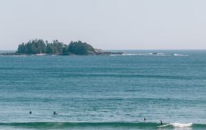 Rainforest Waterfront Gem on Jensen's Bay - Tofino, Canada