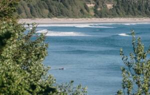 Rainforest Waterfront Gem on Jensen's Bay - Tofino, Canada