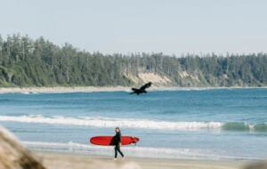 Rainforest Waterfront Gem on Jensen's Bay - Tofino, Canada