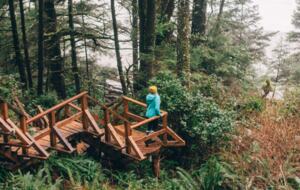 Rainforest Waterfront Gem on Jensen's Bay - Tofino, Canada