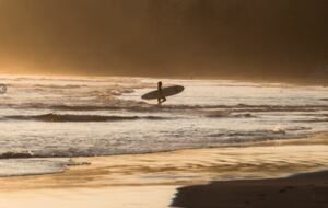 Rainforest Waterfront Gem on Jensen's Bay - Tofino, Canada