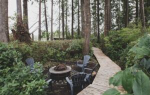 Rainforest Waterfront Gem on Jensen's Bay - Tofino, Canada