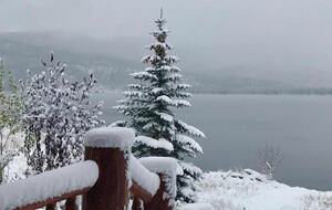 Wonderwood - Grand Lake, Colorado