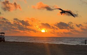 Sandy Gate Cottage by the Sea - Port Aransas, Texas