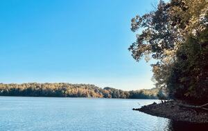 Lakefront Oasis on Lake Barkley; Just 2 Hours from Nashville! - Cadiz, Kentucky