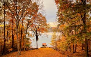 Lakefront Oasis on Lake Barkley; Just 2 Hours from Nashville! - Cadiz, Kentucky