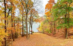 Lakefront Oasis on Lake Barkley; Just 2 Hours from Nashville! - Cadiz, Kentucky