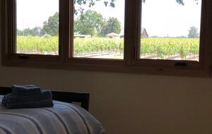 Wine Country Farm w/ Pool & Spa - Santa Rosa, California