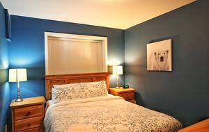 Valhalla Ski-In/Ski-Out Chalet - Comox-Strathcona C, Canada