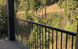 Valhalla Ski-In/Ski-Out Chalet - Comox-Strathcona C, Canada