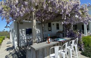 Napa Valley Estate Surrounded by Vineyards - Napa, California