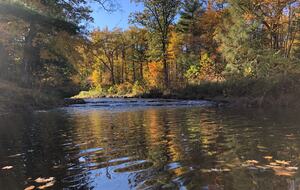 Private Guesthouse at Avalanche Farms | with Stream Access - Saugerties, New York