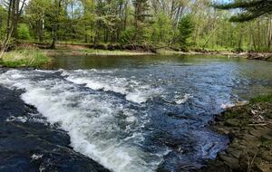 Private Guesthouse at Avalanche Farms | with Stream Access - Saugerties, New York