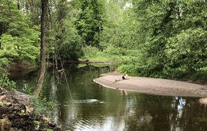 Private Guesthouse at Avalanche Farms | with Stream Access - Saugerties, New York