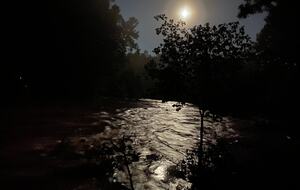 Private Guesthouse at Avalanche Farms | with Stream Access - Saugerties, New York