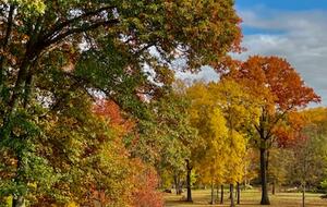 Private Guesthouse at Avalanche Farms | with Stream Access - Saugerties, New York