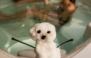 Chalet Tissières - Chamonix, France