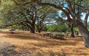 12 Acre Designer Farmhouse in TX Wine Country! - Stonewall, Texas