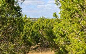 12 Acre Designer Farmhouse in TX Wine Country! - Stonewall, Texas