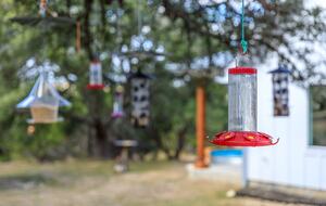 12 Acre Designer Farmhouse in TX Wine Country! - Stonewall, Texas