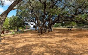 12 Acre Designer Farmhouse in TX Wine Country! - Stonewall, Texas