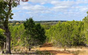 12 Acre Designer Farmhouse in TX Wine Country! - Stonewall, Texas