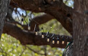 12 Acre Designer Farmhouse in TX Wine Country! - Stonewall, Texas