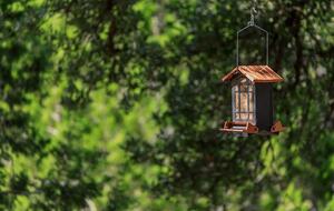 12 Acre Designer Farmhouse in TX Wine Country! - Stonewall, Texas