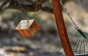 12 Acre Designer Farmhouse in TX Wine Country! - Stonewall, Texas