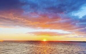 Dune Roe - Westhampton Beach, New York
