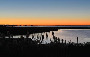 Dune Roe - Westhampton Beach, New York