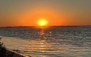 Dune Roe - Westhampton Beach, New York