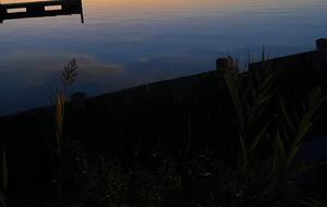 Dune Roe - Westhampton Beach, New York