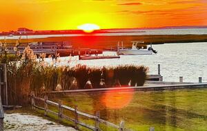 Dune Roe - Westhampton Beach, New York