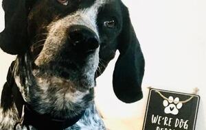 Endless Summer | With Huge Pool & Spa - Isle of Palms, South Carolina