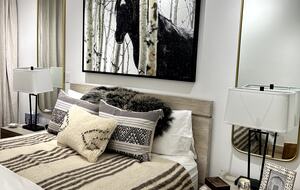 Chic Aspen Jewel Box by the Gondola - Aspen, Colorado