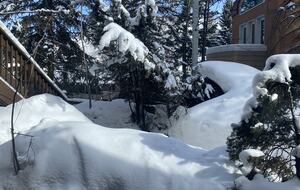 Chic Aspen Jewel Box by the Gondola - Aspen, Colorado