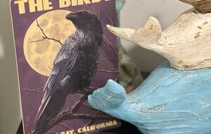 Bodega Bay influences