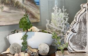 Greenery and coastal touches inside and outside.