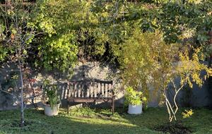 Charming Sunny Victorian | With a Gorgeous Chef's kitchen and backyard - San Francisco, California